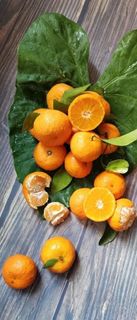 砂糖橘 桔子图片