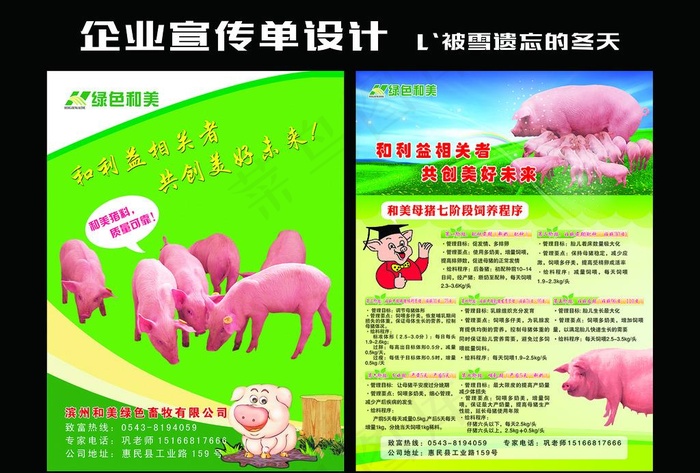 猪饲料宣传单图片