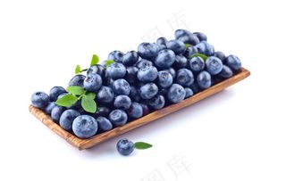 蓝莓图片