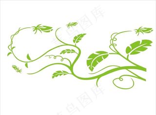 绿藤图片