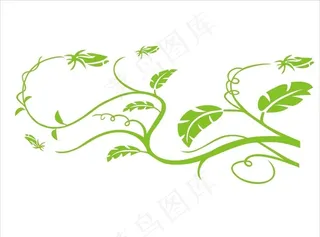 绿藤图片