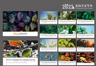 2021台历图片