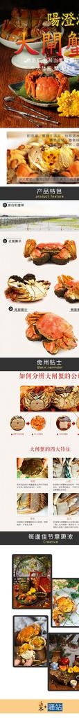 澄阳湖大闸蟹详情图片(640X4502(DPI:72))psd模版下载