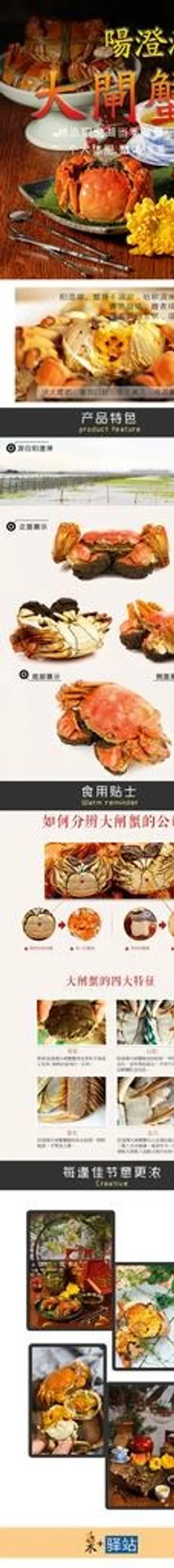 澄阳湖大闸蟹详情图片
