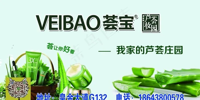 芦荟图片