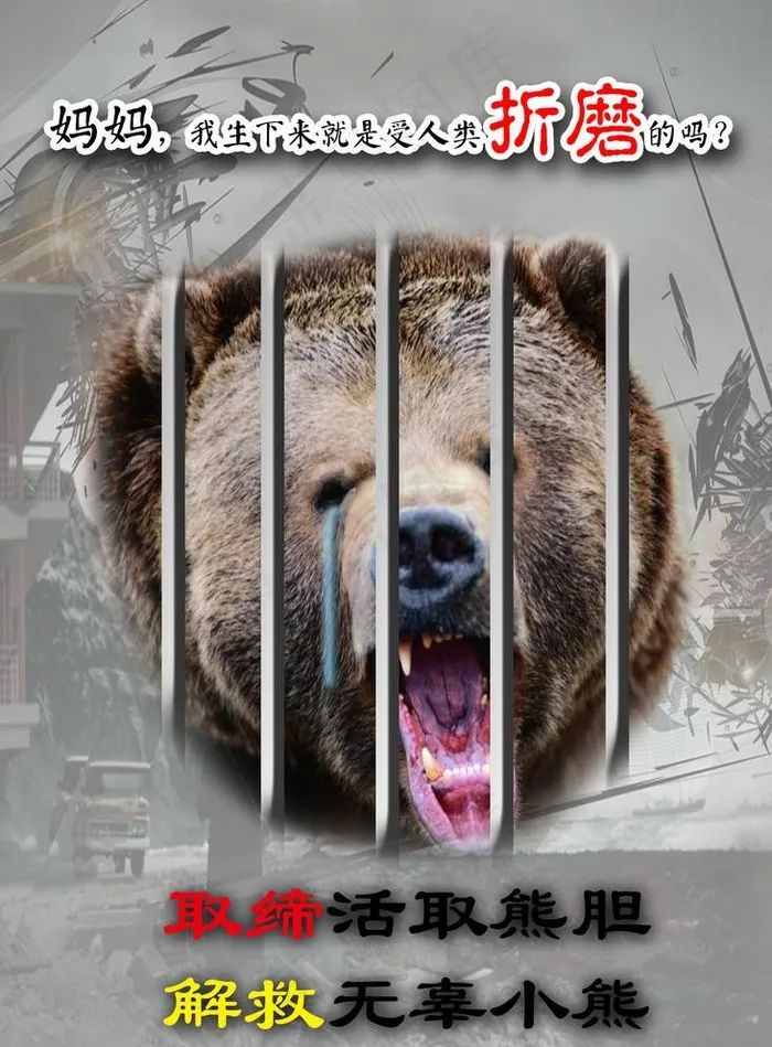 小熊的叩问图片(1890X2645(DPI:95))psd模版下载