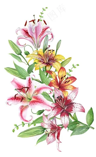 手绘花草 牡丹花园 元素素材图片