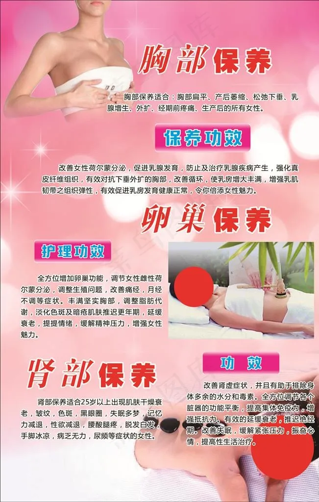 胸部保养图片cdr矢量模版下载