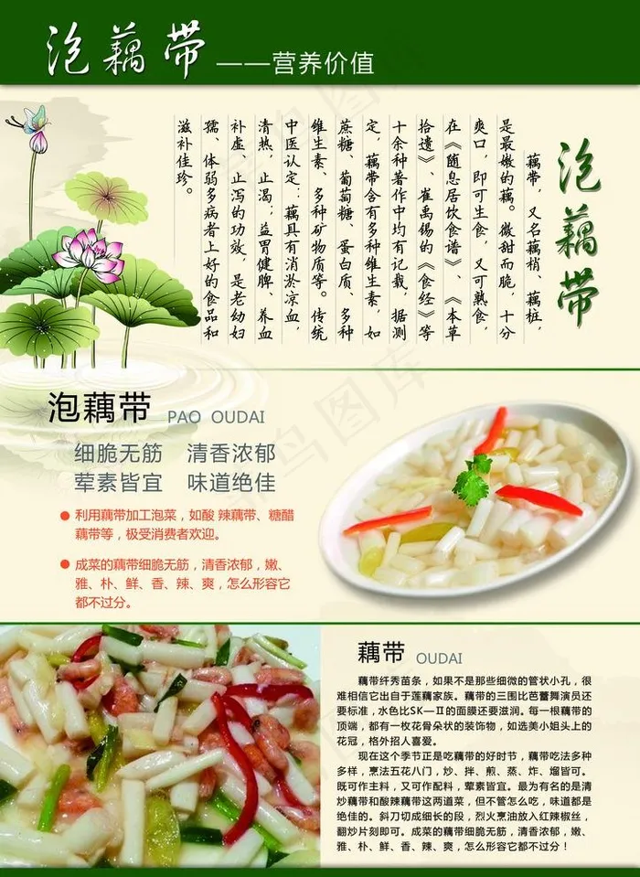 泡藕带彩页模板图片(4961X7016(DPI:600))psd模版下载