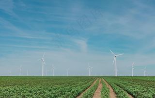 风力发电图片