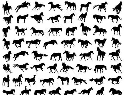 骏马图片 骏马图片