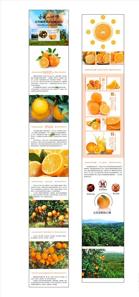 赣南脐橙详情页海报图片psd模版下载