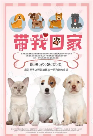 宠物海报图片