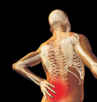 腰椎痛透明图图片