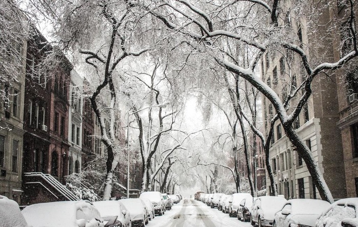 雪景图片