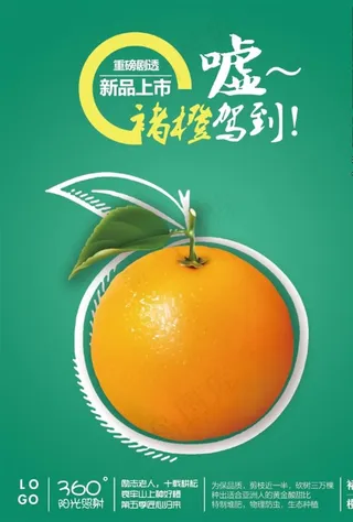 褚橙上市宣传海报psd图片