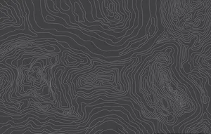 黑白等高线地形背景底纹图片