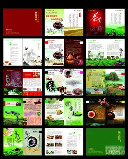 林氏茶叶画册图片