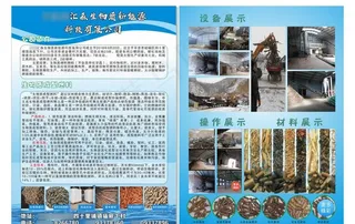 生物质新能源宣传彩页图片