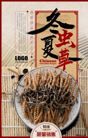 冬虫夏草图片