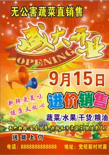 盛大开业   DM单 彩页图片