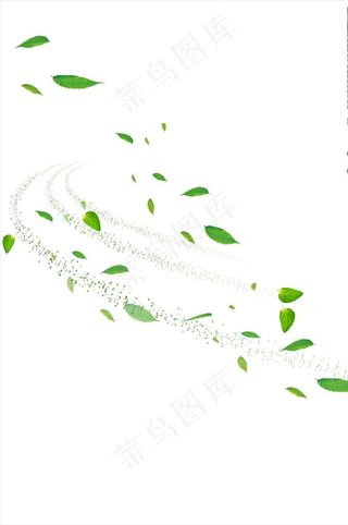 风吹落叶 树叶 风吹图片