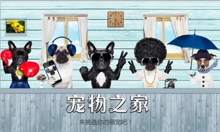欧美风宠物之家宠物店背景墙图片(9071X5669(DPI:72))psd模版下载