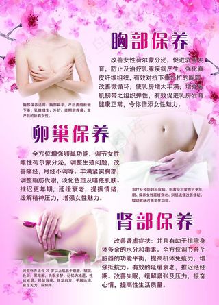 胸部保养 卵巢保养  肾部保养图片