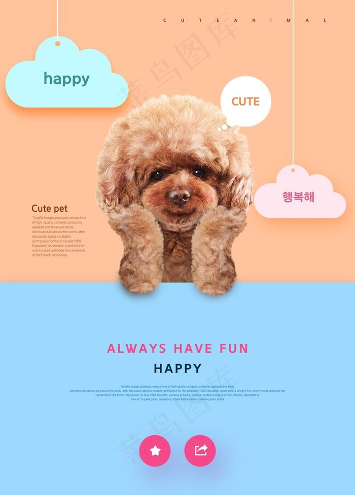 宠物店图片psd模版下载