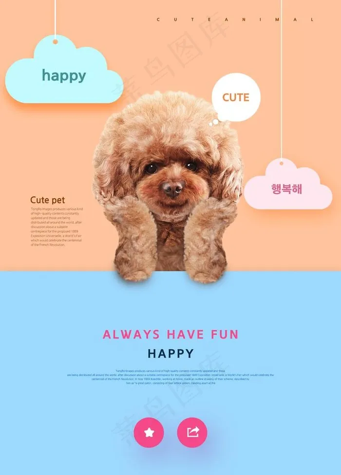 宠物店图片psd模版下载