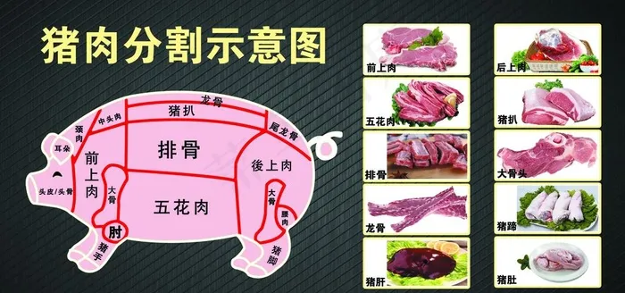 猪肉分割图 排骨素材 猪蹄素材图片(6614X3307(DPI:70))psd模版下载