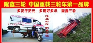 隆鑫三轮车图片