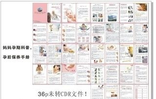 宝宝手册孕前科普孕后保养图片