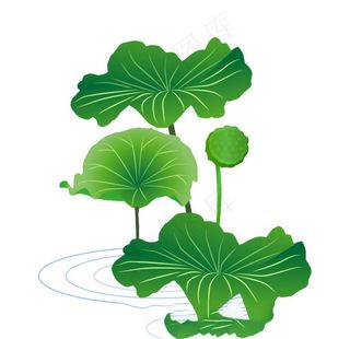 水墨风荷花图片