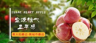 盐源苹果banner图片