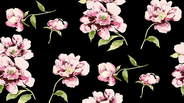 手绘花 矢量花图片