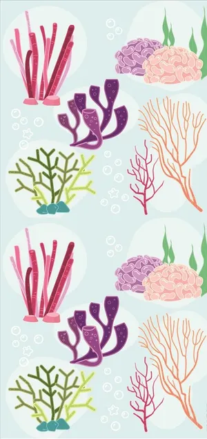 珊瑚图片