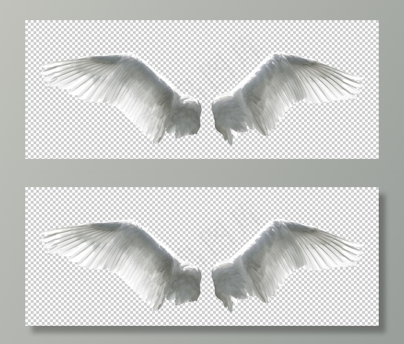 翅膀图案设计图片