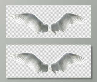 翅膀图案设计图片