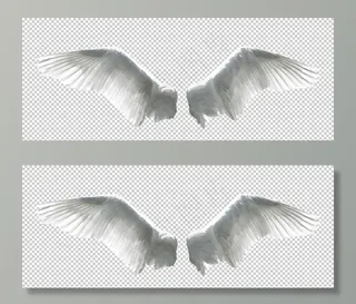 翅膀图案设计图片