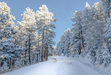 雪景图片