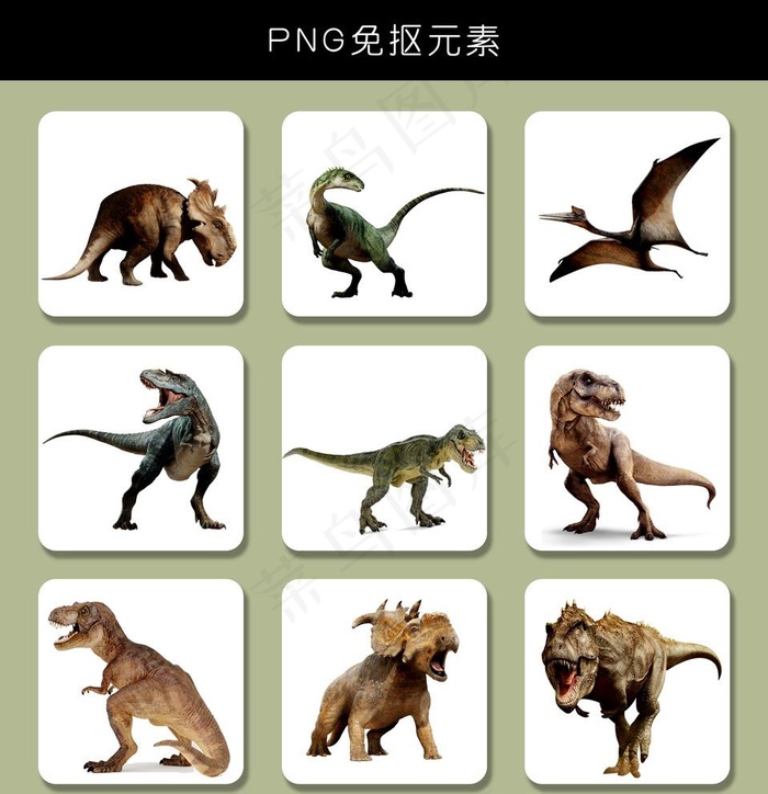 恐龙素材图片(3264X3484(DPI:200))psd模版下载