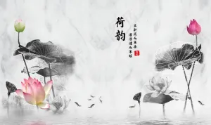 荷韵图片