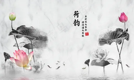 荷韵图片 荷韵图片
