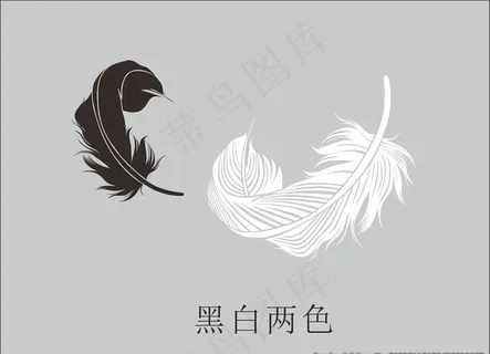 黑白 两片 大 羽毛图片