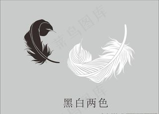 黑白 两片 大 羽毛图片