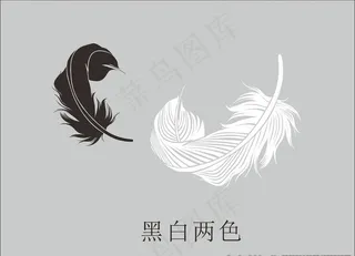 黑白 两片 大 羽毛图片