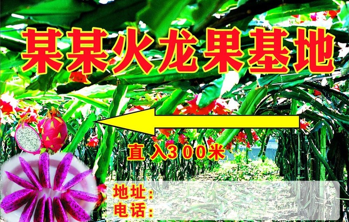 农庄招牌 火龙果图片cdr矢量模版下载