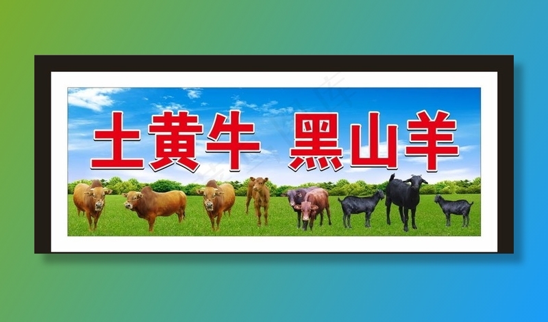 黑山羊 土黄牛图片(210X297)cdr矢量模版下载
