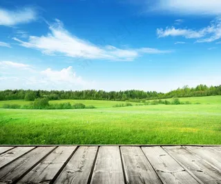 木板草地素材图片